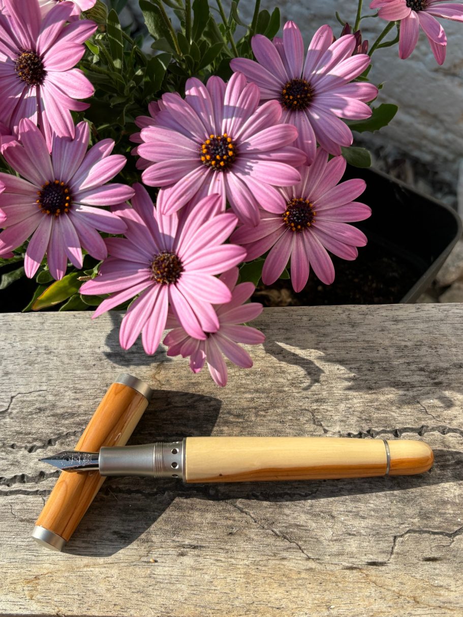 Kolbenfüller (Abb.: Eibe)